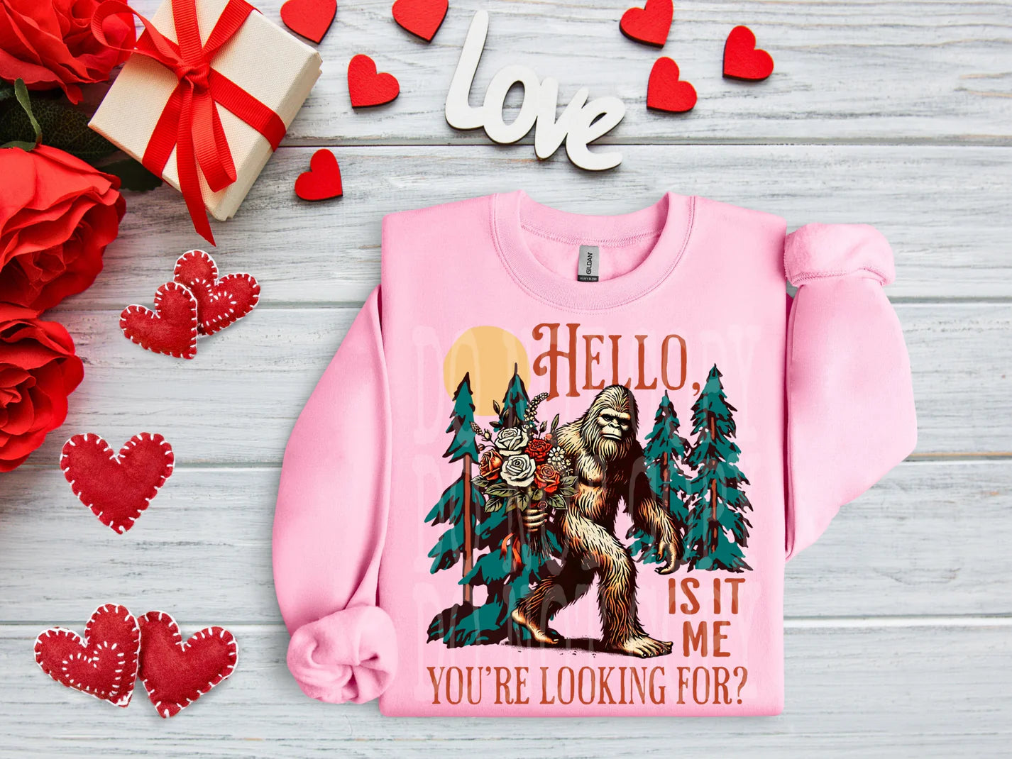 Is it me your looking for? Valentine Sweatshirt