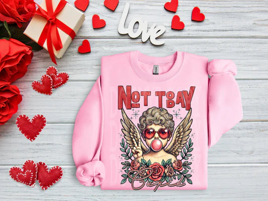 Not today cupid Valentine Sweatshirt